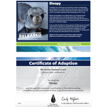 Load image into Gallery viewer, Adopt-a-Seal® - Sloopy - Exclusive Digital Download!
