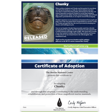 Load image into Gallery viewer, Adopt-a-Seal® - Chunky - Exclusive Digital Download!