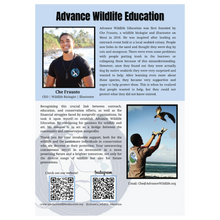 Load image into Gallery viewer, Marine Mammals Educational Coloring Book