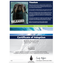 Load image into Gallery viewer, Adopt-a-Seal® - Titanium - Exclusive Digital Download!