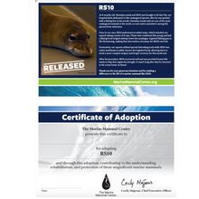 Load image into Gallery viewer, Adopt-a-Seal® - RS10 - Exclusive Digital Download!