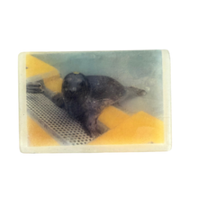 Load image into Gallery viewer, Harbor Seal Milk and Honey Soap