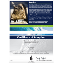 Load image into Gallery viewer, Adopt-a-Seal® - Sandia - Exclusive Digital Download!