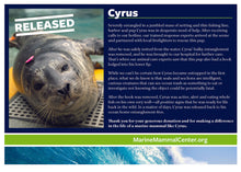 Load image into Gallery viewer, Adopt-a-Seal® - Cyrus - Exclusive Digital Download!
