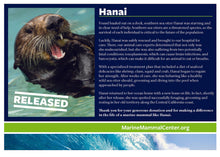 Load image into Gallery viewer, Adopt-a-Seal® - Hanai - Exclusive Digital Download!