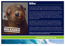 Load image into Gallery viewer, Adopt-a-Seal® - Niko - Exclusive Digital Download!