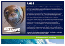 Load image into Gallery viewer, Adopt-a-Seal® - RH38 - Exclusive Digital Download!