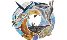 Load image into Gallery viewer, Marine Mammals Watercolor Holiday Card
