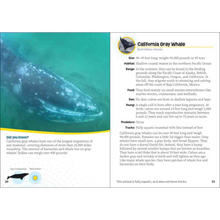 Load image into Gallery viewer, Critters of California - Pocket Guide to Animals in Your State