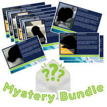 Load image into Gallery viewer, Adopt-a-Seal® Mystery Bundle