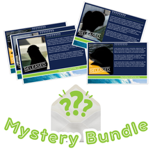 Load image into Gallery viewer, Adopt-a-Seal® Mystery Bundle
