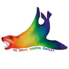 Load image into Gallery viewer, Rainbow California Sea Lion Sticker