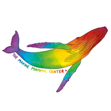 Load image into Gallery viewer, Rainbow Humpback Whale Sticker