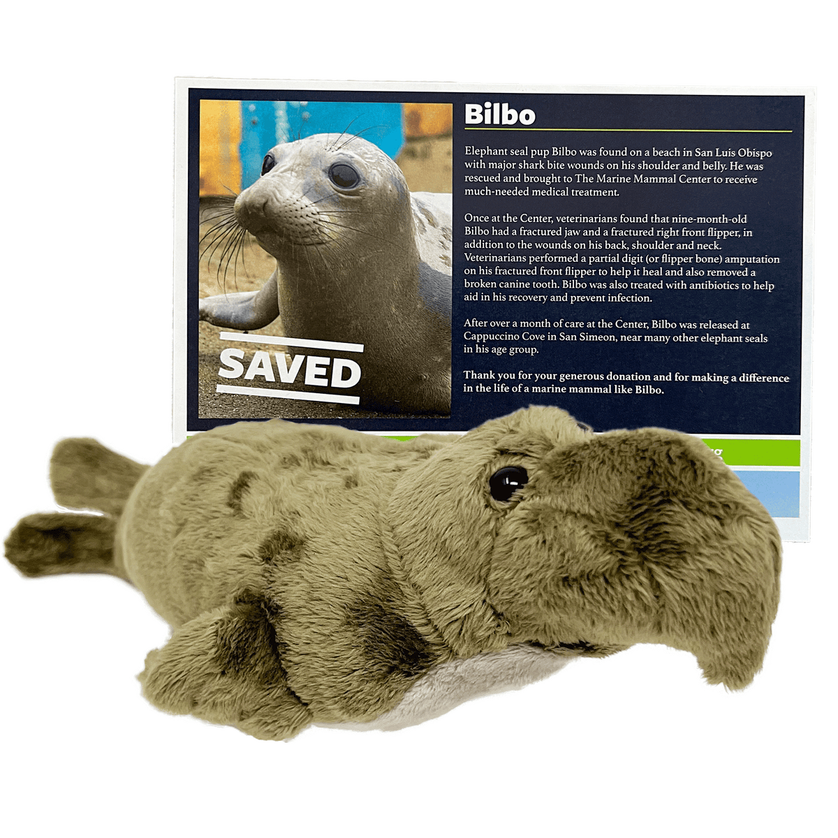 Elephant seal stuffed clearance animal