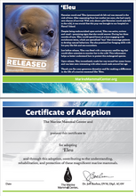 Load image into Gallery viewer, Sample certificate of adoption with patient's photo and story in top half, certificate of adoption in bottom half.