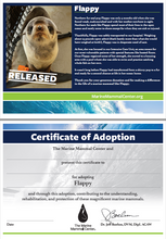 Load image into Gallery viewer, Sample certificate of adoption with patient's photo and story in top half, certificate of adoption in bottom half.
