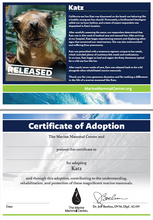 Load image into Gallery viewer, Sample certificate of adoption with patient's photo and story in top half, certificate of adoption in bottom half.