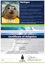 Load image into Gallery viewer, Sample certificate of adoption with patient's photo and story in top half, certificate of adoption in bottom half.