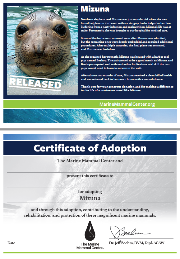 Adopt-a-Seal® Mizuna Exclusive Digital Download!