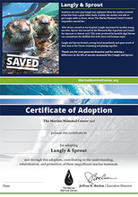 Load image into Gallery viewer, Sample certificate of adoption with patient's photo and story in top half, certificate of adoption in bottom half.