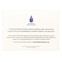 Load image into Gallery viewer, Back of greeting card with The Marine Mammal Center's mission statement, info about the Center's work, and photo credits.