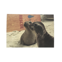 Load image into Gallery viewer, Greeting card cover with two elephant seal pups on sandy beach.