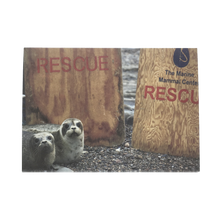Load image into Gallery viewer, Greeting card cover with two harbor seal pups on rocky beach, with Marine Mammal Center RESCUE boards in background.