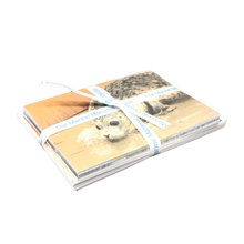 Load image into Gallery viewer, Stack of greeting cards with marine mammal images and envelopes tied together with blue and white ribbon.