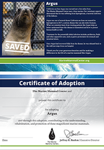 Load image into Gallery viewer, Sample certificate of adoption with patient's photo and story in top half, certificate of adoption in bottom half.