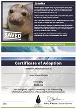 Load image into Gallery viewer, Sample certificate of adoption with patient's photo and story in top half, certificate of adoption in bottom half.