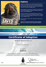 Load image into Gallery viewer, Sample certificate of adoption with patient's photo and story in top half, certificate of adoption in bottom half.