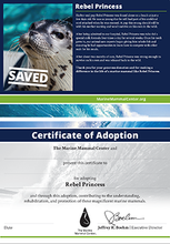 Load image into Gallery viewer, Sample certificate of adoption with patient's photo and story in top half, certificate of adoption in bottom half.