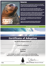 Load image into Gallery viewer, Sample certificate of adoption with patient's photo and story in top half, certificate of adoption in bottom half.