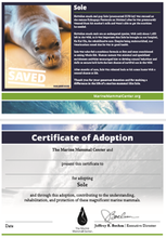 Load image into Gallery viewer, Sample certificate of adoption with patient's photo and story in top half, certificate of adoption in bottom half.