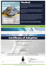 Load image into Gallery viewer, Sample certificate of adoption with patient's photo and story in top half, certificate of adoption in bottom half.