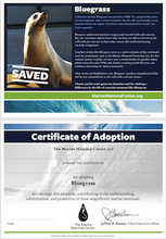 Load image into Gallery viewer, Sample certificate of adoption with patient's photo and story in top half, certificate of adoption in bottom half.