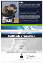 Load image into Gallery viewer, Sample certificate of adoption with patient's photo and story in top half, certificate of adoption in bottom half.
