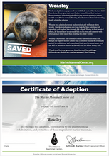 Load image into Gallery viewer, Sample certificate of adoption with patient's photo and story in top half, certificate of adoption in bottom half.