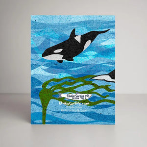 Orca Everyday Greeting Card