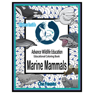 Marine Mammals Educational Coloring Book