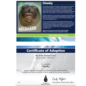 Adopt-a-Seal® - Chunky - Exclusive Digital Download!