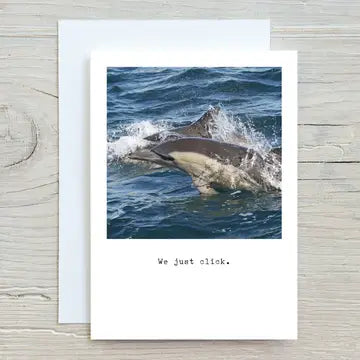 Elster Dolphin Card