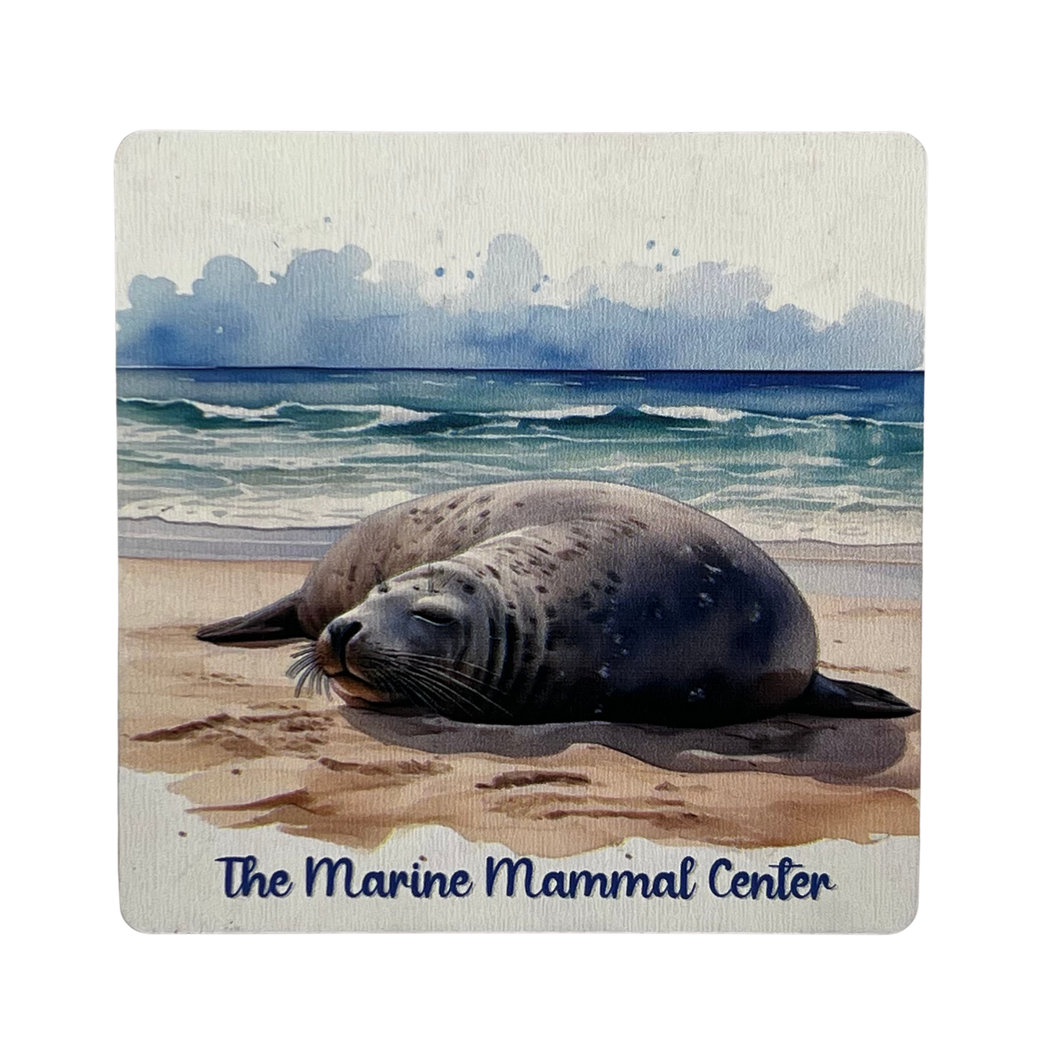 Sleeping Monk Seal Coaster