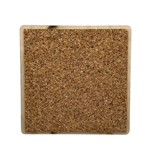 Load image into Gallery viewer, Sleeping Monk Seal Coaster
