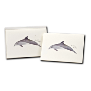 Bottlenose Dolphin 8 Card Gift Set