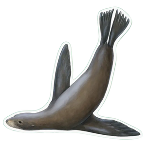 Sea Lion Swimming Sticker