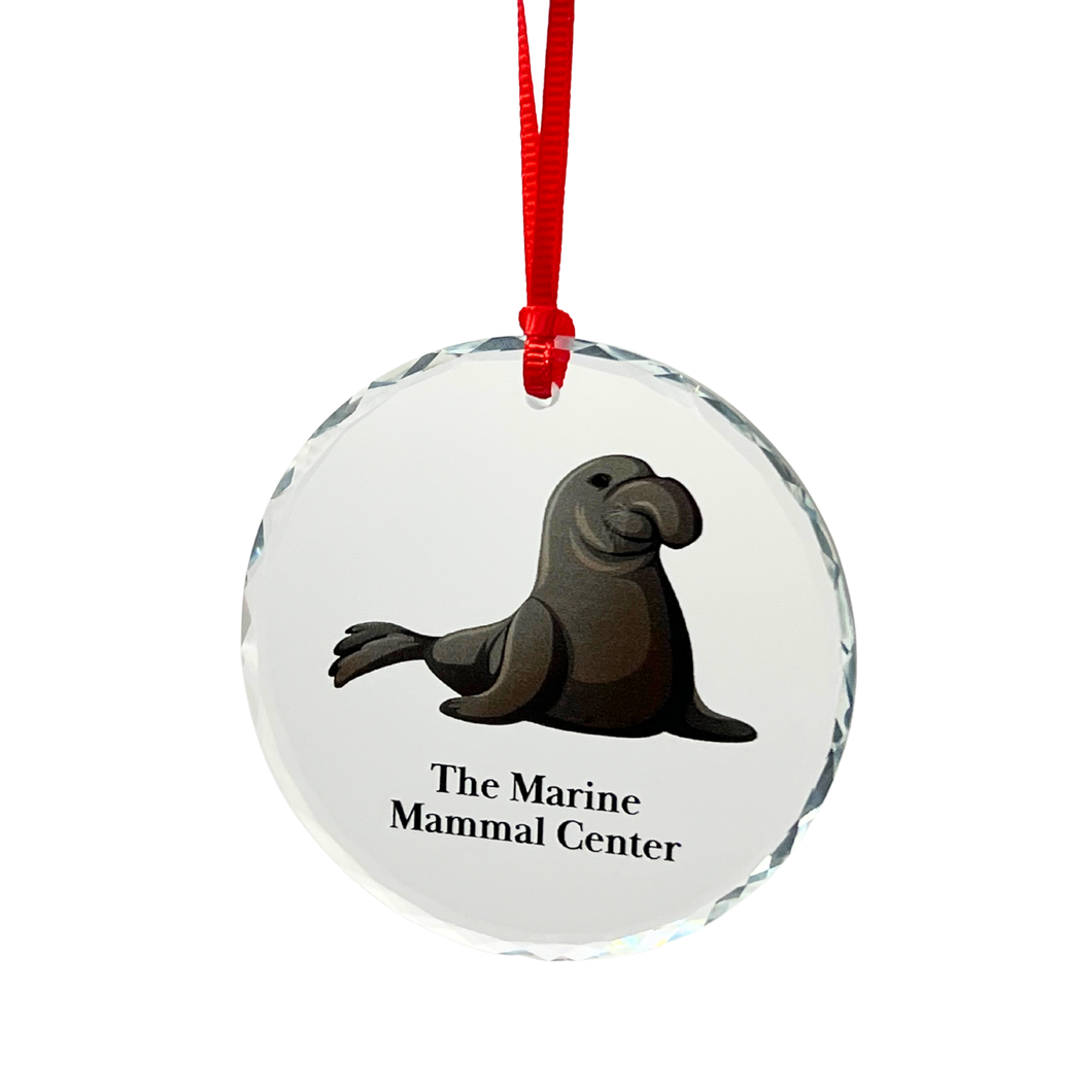 Elephant Seal Round Glass Ornament