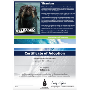 Adopt-a-Seal® - Titanium - Exclusive Digital Download!