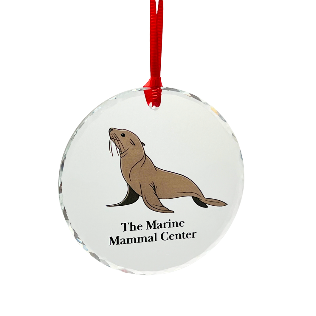Sea Lion Round Glass Ornament