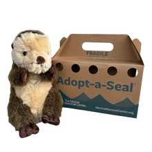 Load image into Gallery viewer, Adopt-a-Seal® - Calloway - Rescue Crate
